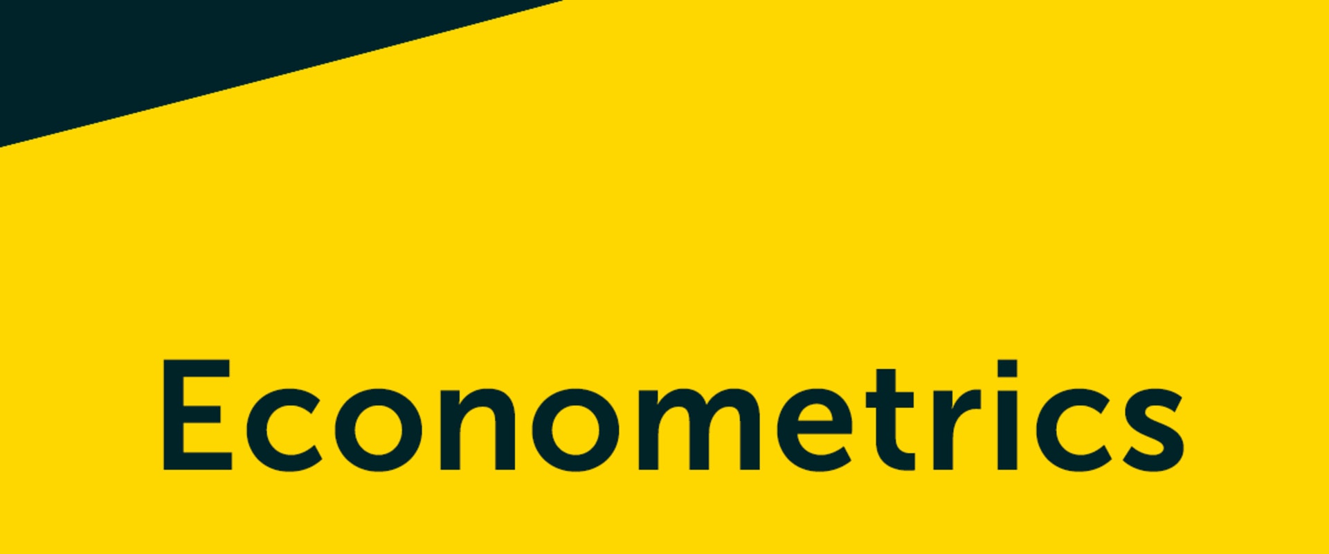 Exploring the World of Econometrics: A Comprehensive Look at Elective Courses